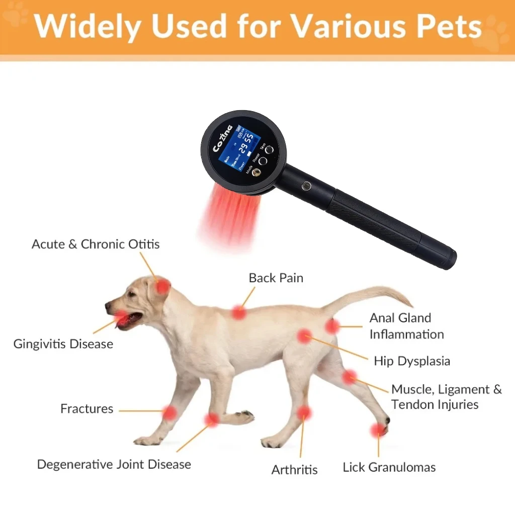 Professional-Grade …