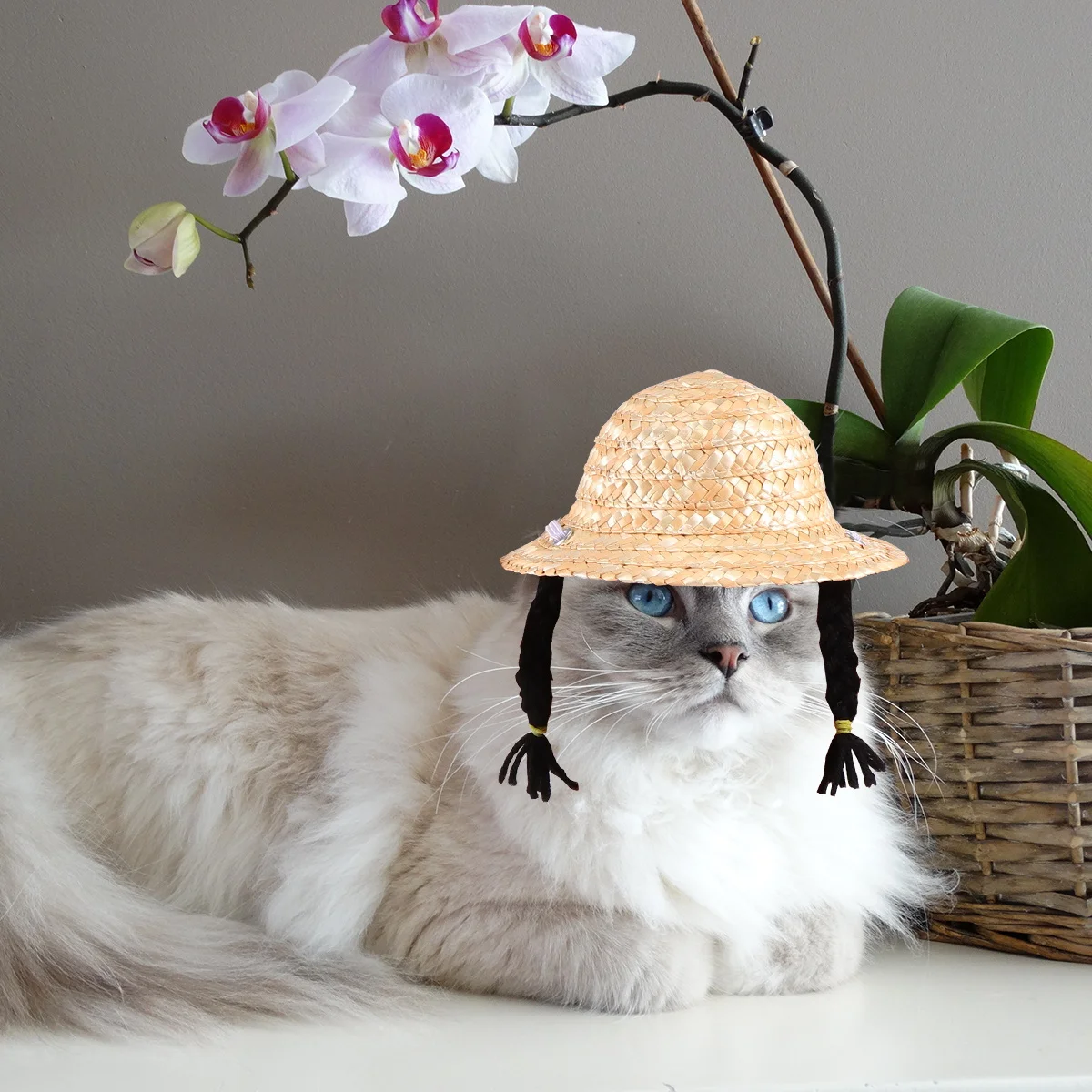 

pet hat cat straw hat pet woven hat cat woven hat pet straw hat straw woven cap hand-knitted hat