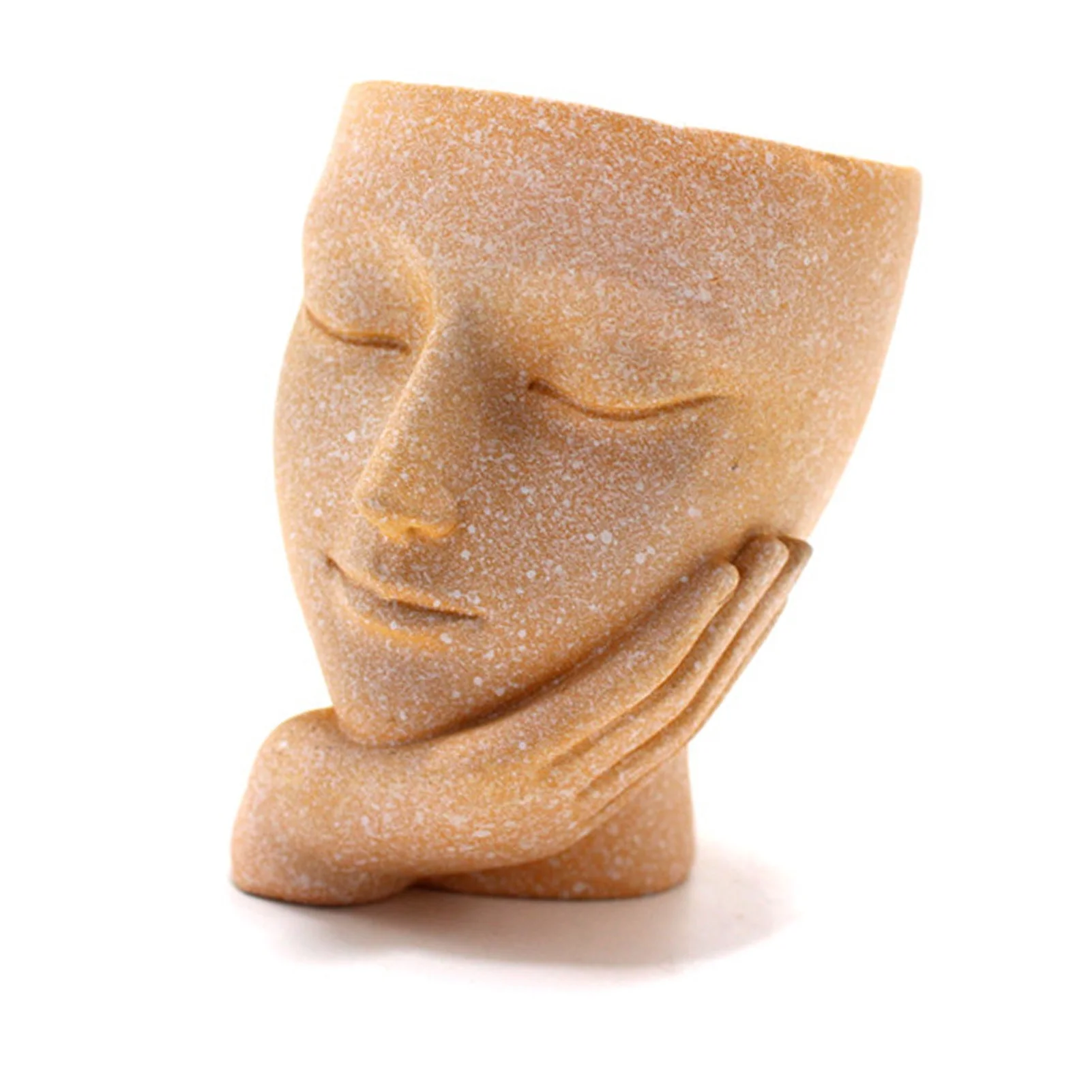 Face Flower Pot Ornament Innovative Resin Succulent Potted Desktop Plants Landscape Decorations