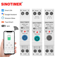 Tuya Smart WiFi Circuit Breaker 1P+N 63A Timer Relay Power Energy kWh Meter Over Current Voltage Protector Remote Control Switch