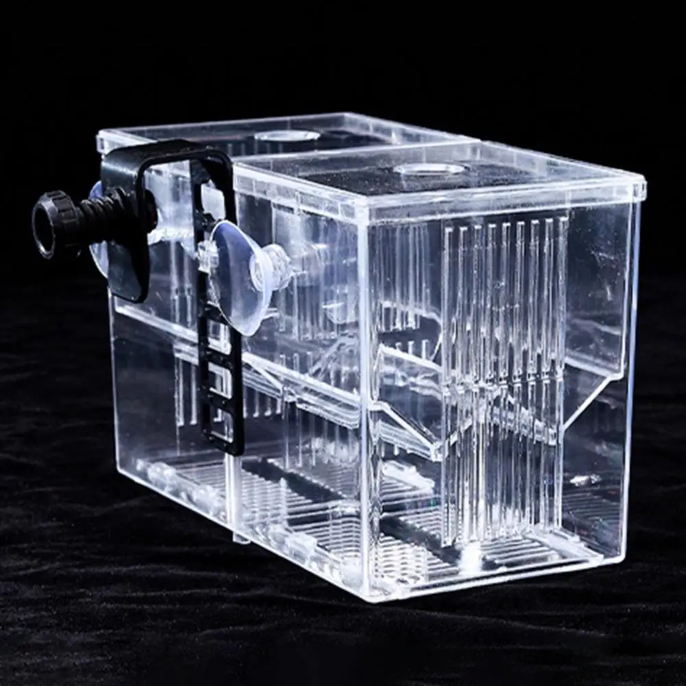 Double Isolation Compartment Breeding Box Transparent Multi-grid Aquarium Breeder Box for Fish Breeding for Shrimp image 4