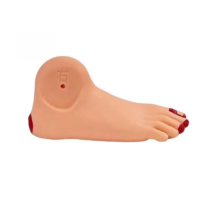 Medical teaching model Diabetic foot disease model, realistic foot pathological changes emulator for endocrine training