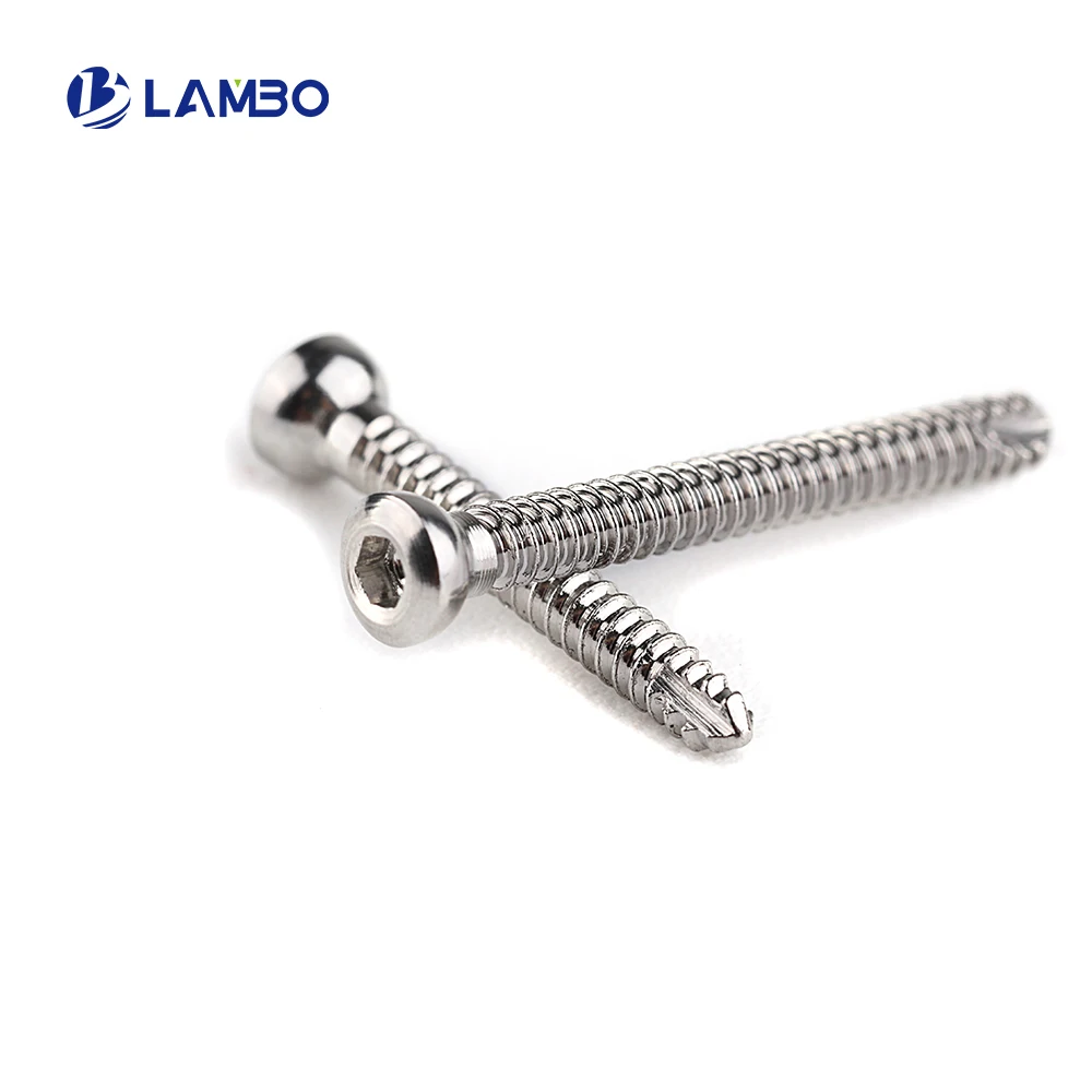 10pcs Vet 2.0mm Stainless Steel Hexagon Cortical Screws Pet Veterinary Orthopedics Implants Surgical Instruments Pet Products