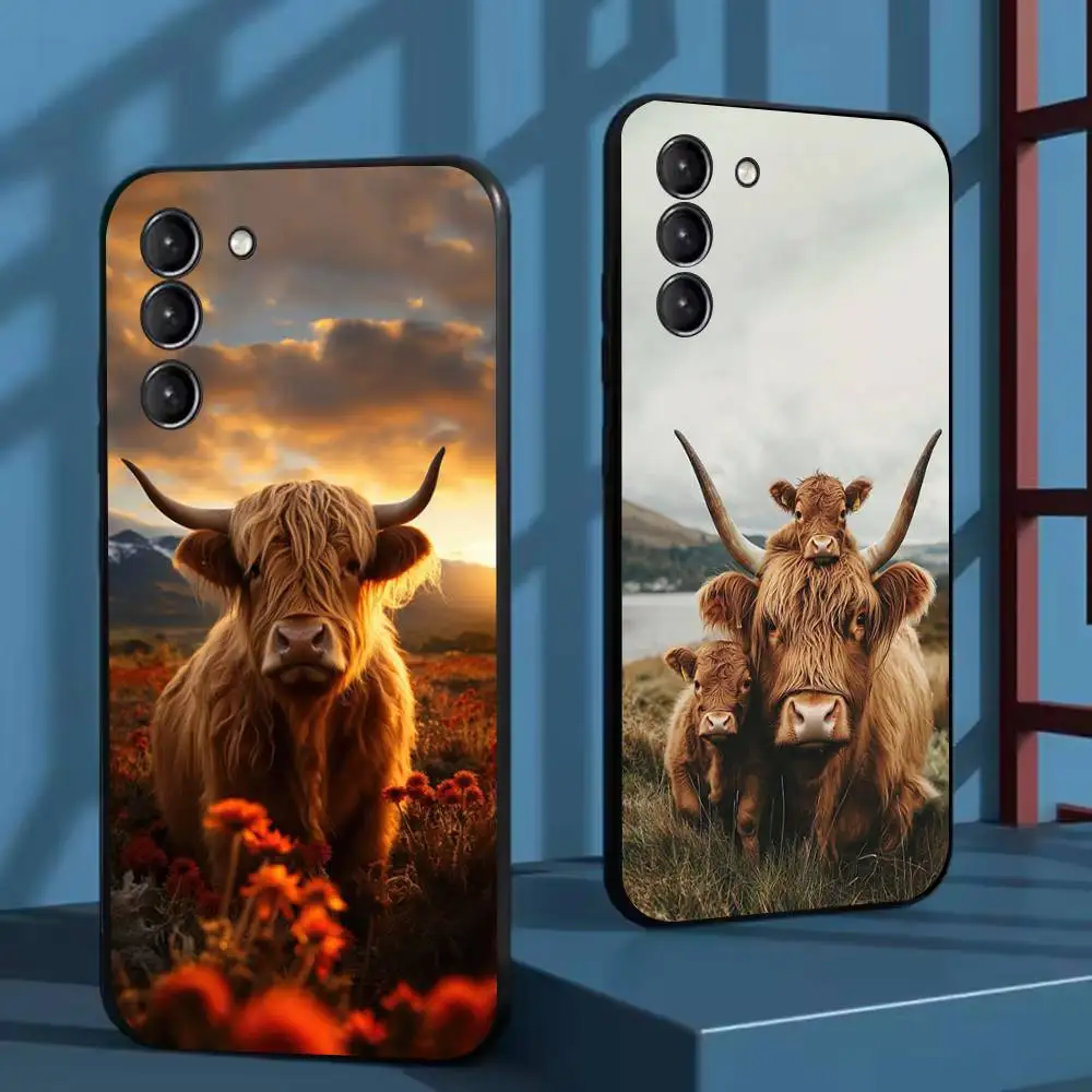 Cute Highland Cow P… - image