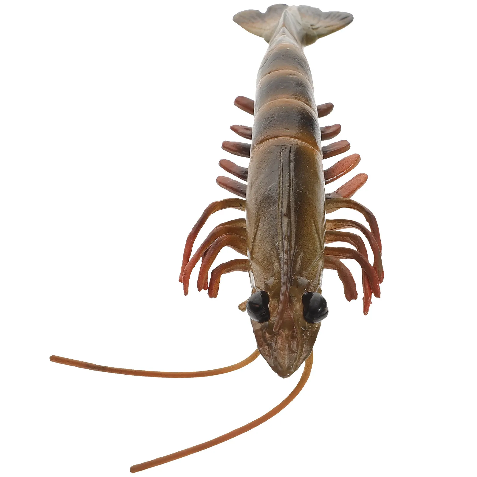 

Simulation Shrimp Educational Kids Plaything Realistic Plastic Learning Accessory Ocean Party Favor Sea Animal for Children