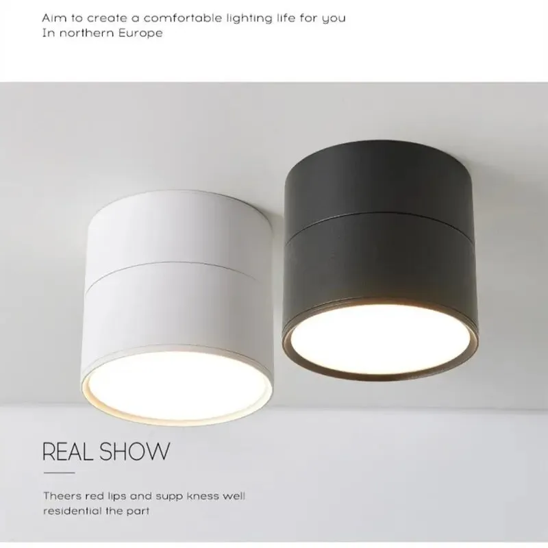 Dimmable Surface Mounted LED Downlight 10W/15W Rotating LED Spot Light Ceiling Lamp with LED Driver AC110V/220V Home Decoration