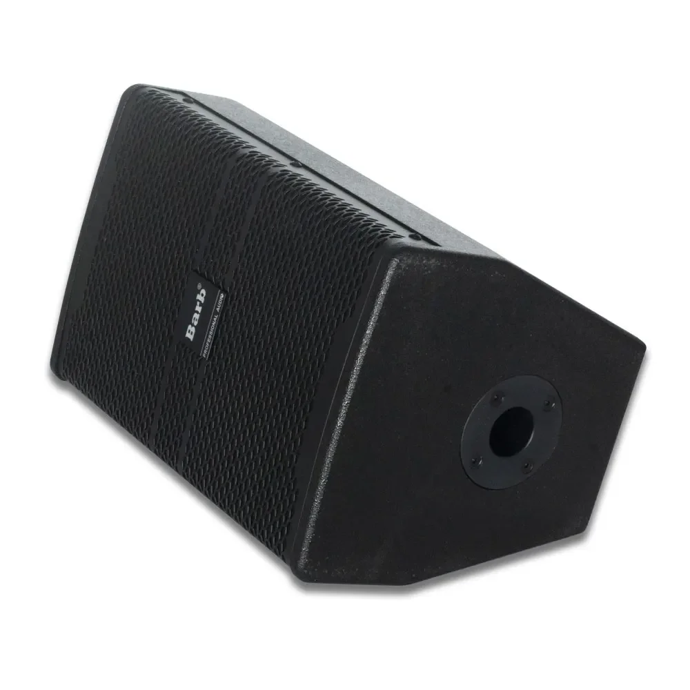 

Tianlai 10 Inch 300w Sound Effect Home Audio System Speaker Box Wall Speakers