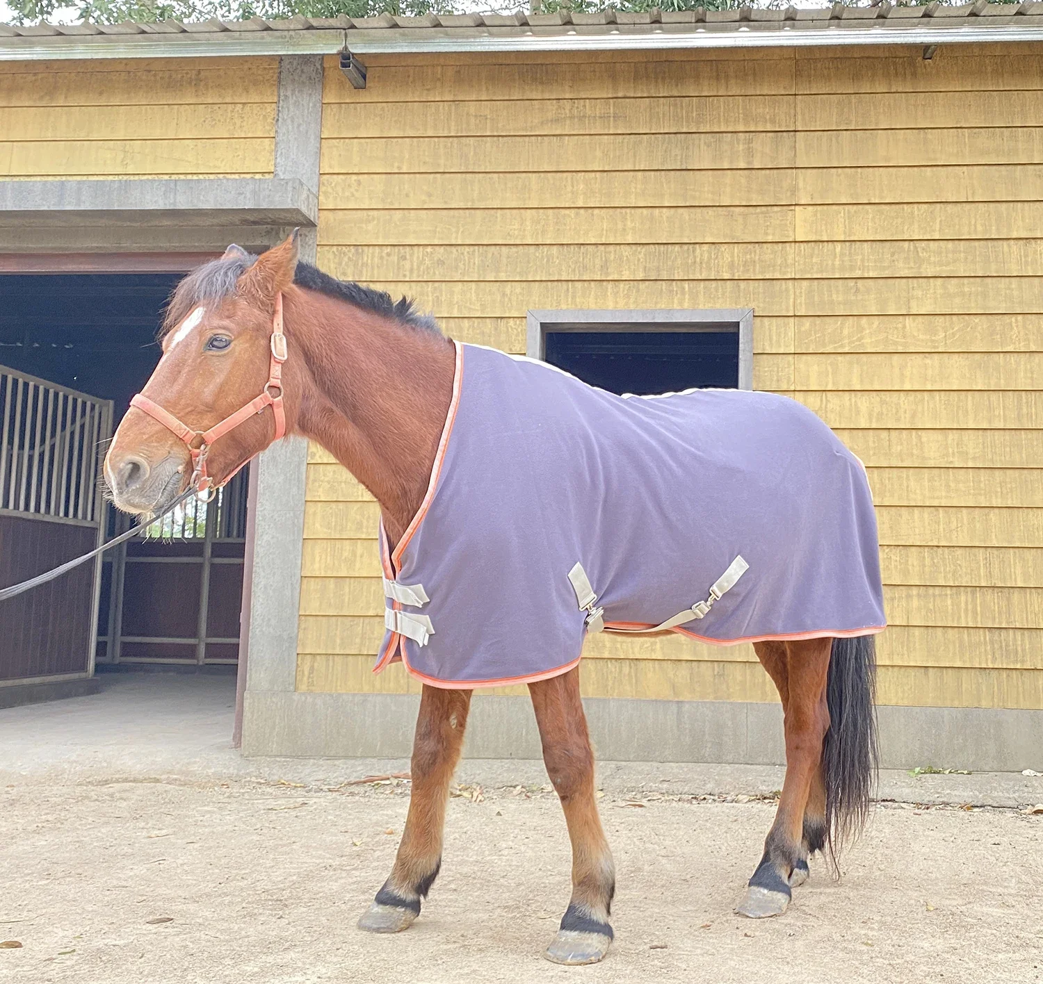 Customized 2024 Newest Warm Soft Horse Fleece Rug Wholesale Cheap Equine Horse Sheets For Stable Indoor