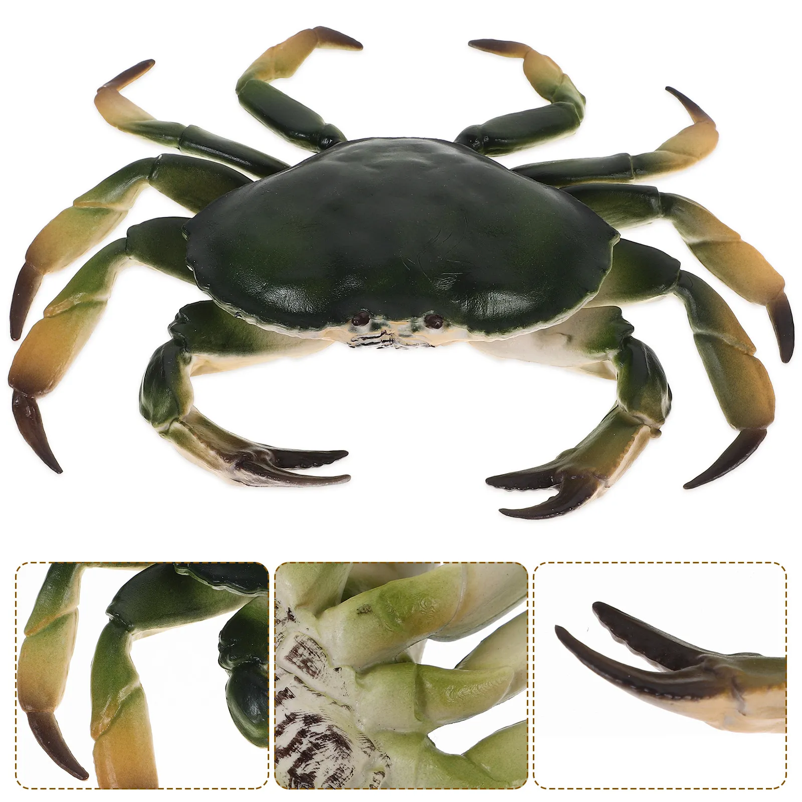 

Simulation Crab Plastic Animal Decoration Realistic Educational Artificial Crab Sculpture for Home Garden Animal Model Decor