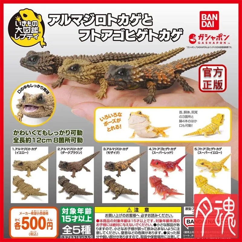 Bandai Big picture of biology Gashapon Bearded Dragon & Armadillo Lizard Action Figure Complete Set Collection Toys new in box