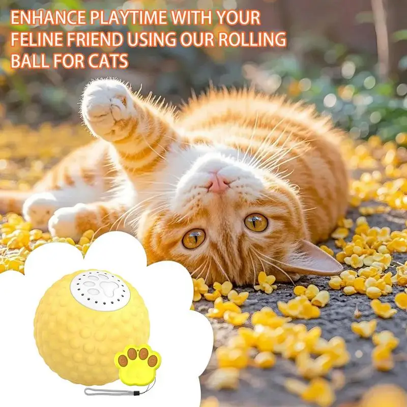 

Cat Toy Ball Interactive Cat Toy 2 LED Modes USB Rechargeable Remote Control Kitten Ball Bird Sound IP54 Waterproof