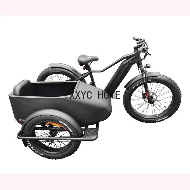 Triciclo eléctrico lateral para adulto, bicicleta de 3 ruedas, triciclo de carga eléctrica de 750w, batería de litio oculta, Sidecar