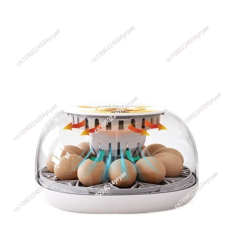 

Poultry 12 Egg Incubators the Incubator Has Automatic Egg Transfer Humidity Temperature Control to Hatch Quails Ducks Catchers