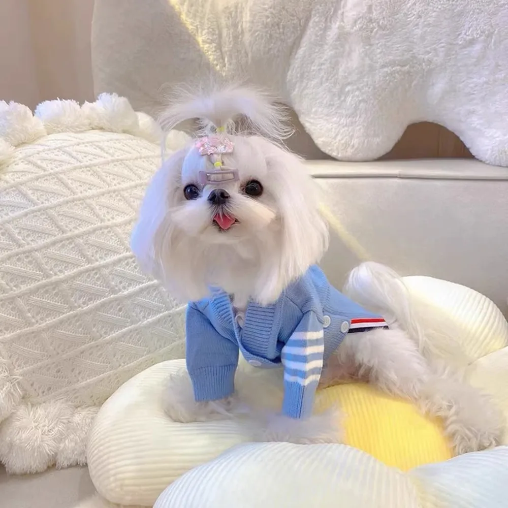 

Macaron Color Classic Striped Design Cute Little Dog'S Knitted Clothes Autumn Pet Coat Cat Rabbit'S Sweater