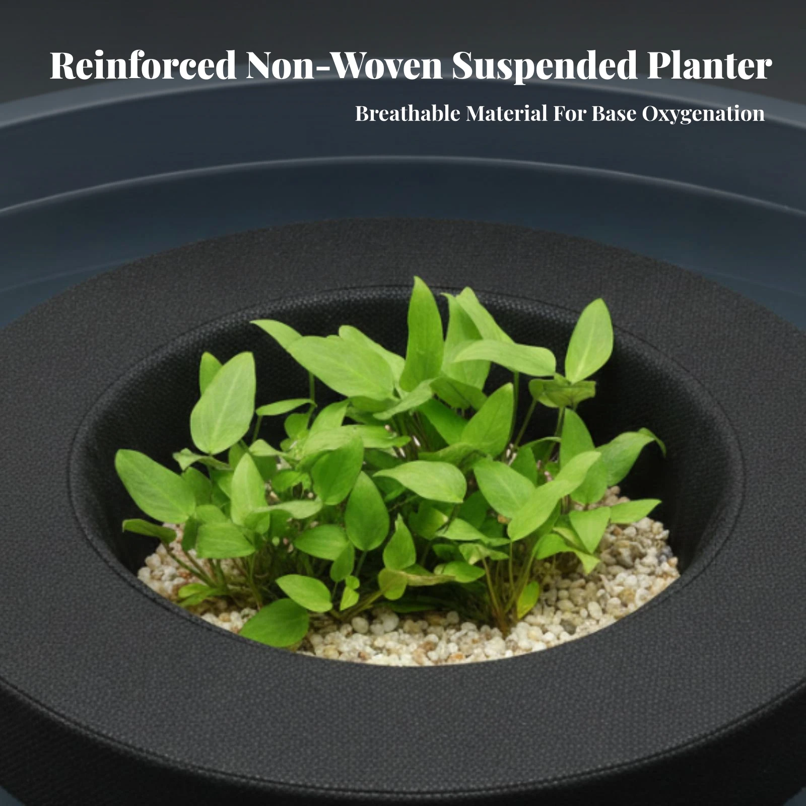 Floating Pond Planter Basket Lightweight Pond Planter Basket with Floating Loop Long-Lasting Porous for Gardeners, Ponds