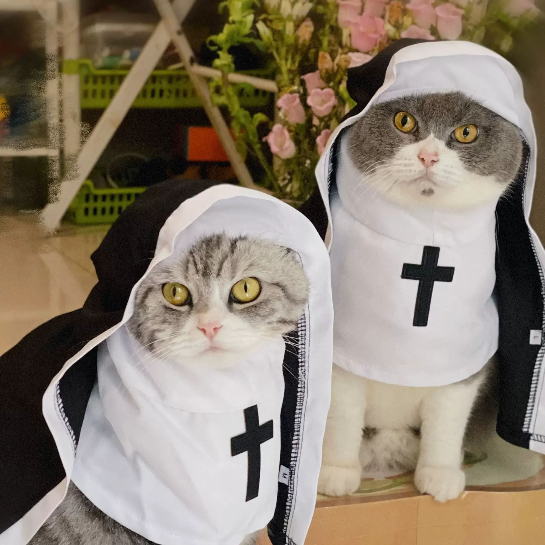 Halloween Pet Costume Nun Cat Hoodie Pet Nun Costume Hooded Scarf Halloween Funny Cat Transformation Halloween Dog Cat Costumes