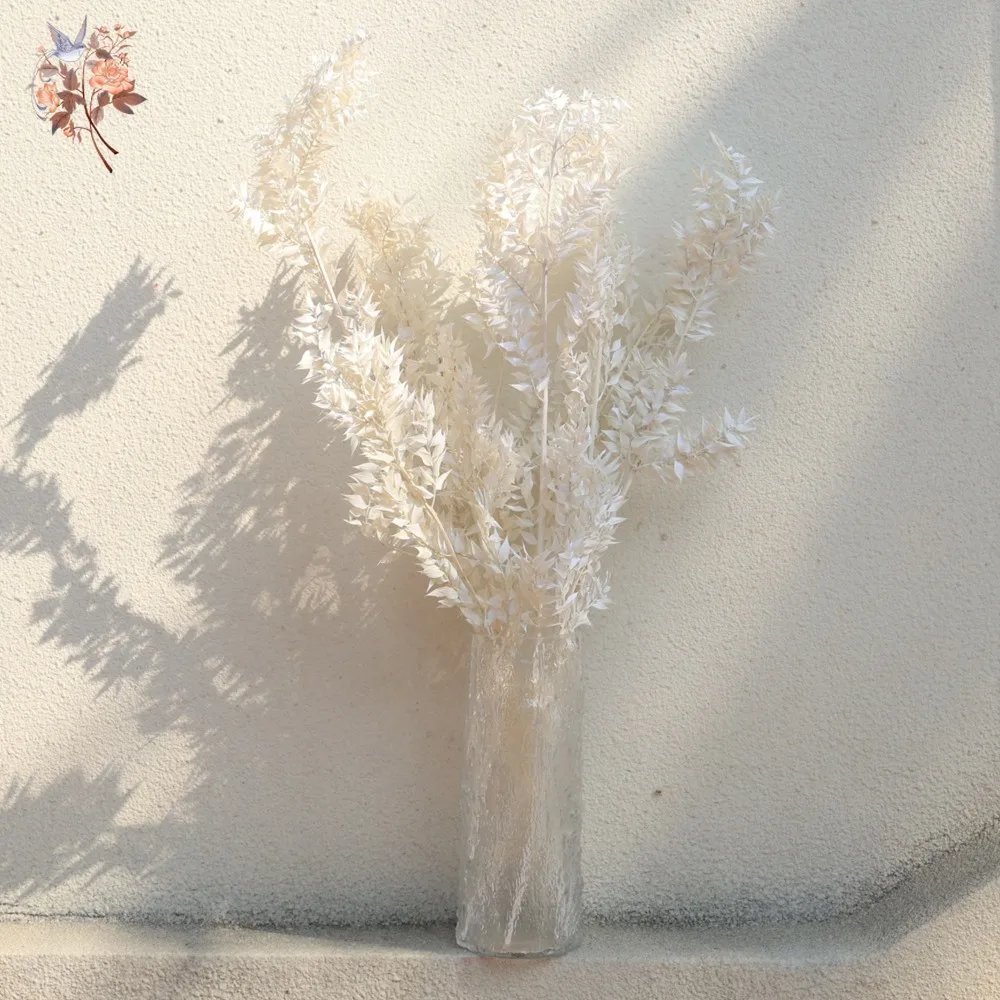 Feuilles de Ruscus blanches, fleurs séchées, décor de mariage de noël, feuilles d'eucalyptus conservées, Vases de Table nordiques pour la maison, arrangements de bricolage, 40g
