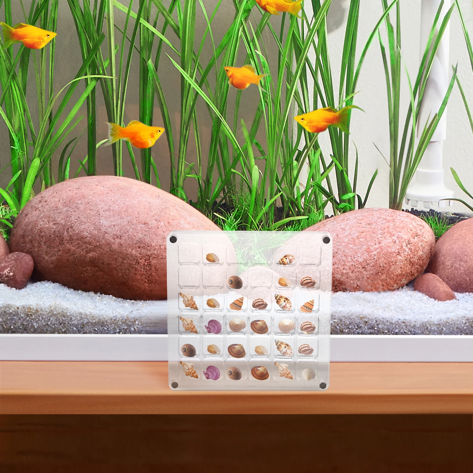 

Seashell Display Box Multi-Grid Acrylic Storage Case Organizer For Beads Jewelry Gemstones Nails Art Supplies Transparent