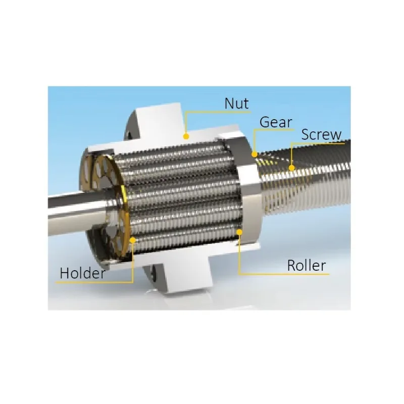 حواف الجوز الكواكب والعتاد الأسطوانة المسمار الكواكب الأسطوانة الكرة المسمار الكواكب الأسطوانة المسمار #6