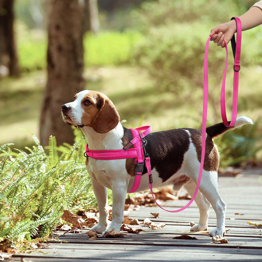 Naylon köpek tasma yansıtıcı köpekler küçük orta boy köpekler için kemer açık evcil hayvan eğitim kurşun ip Chihuahua Pug evcil hayvan malzemeleri