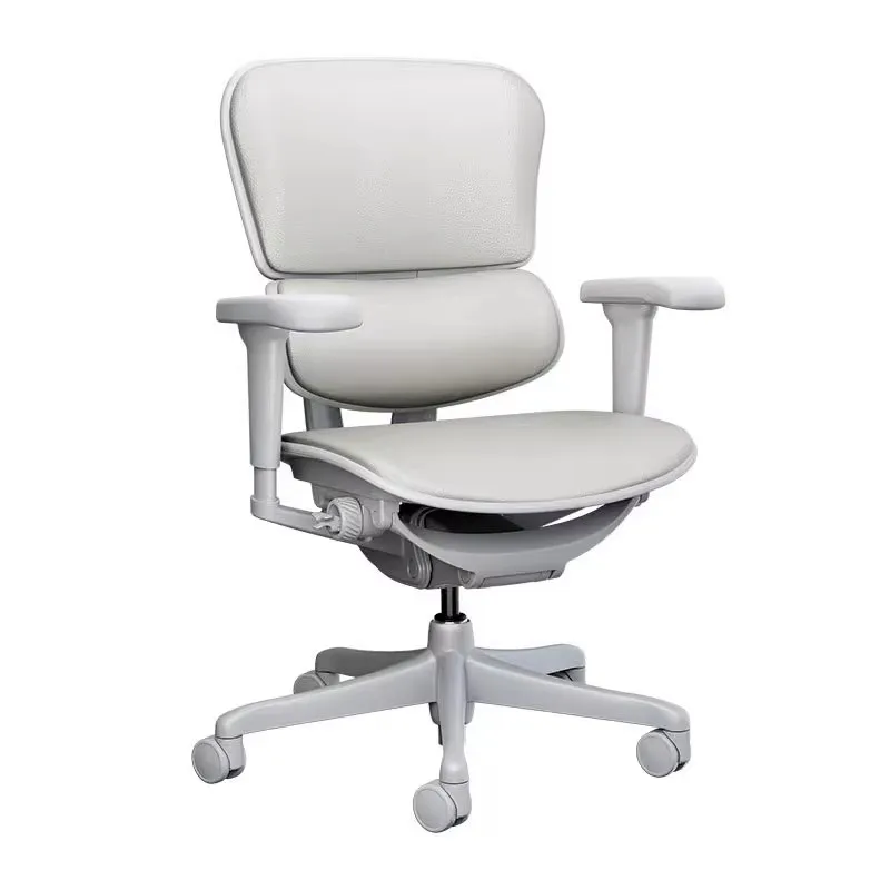 Ergonomic chair, computer, sedentary, backrest, home, office