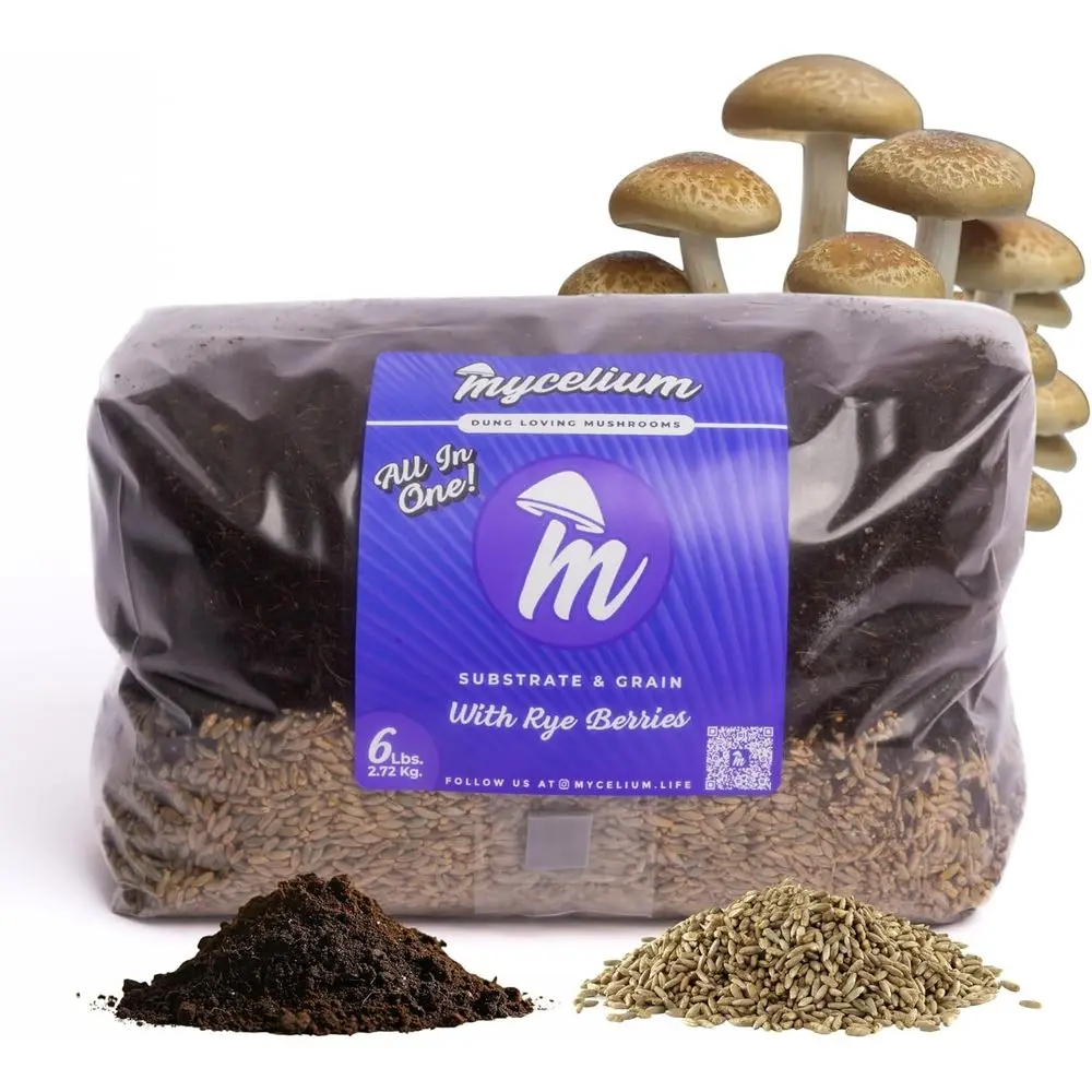 

Набор для выращивания грибов 6LB | Универсальный субстрат CVG и зерно ржаного сорняка в мешке | Патч для порта инъекции и фильтра | Выращивайте грибы, любящие навоз