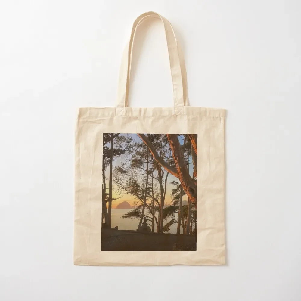 

Morro Rock at sunset Tote Bag shopper bags canvas tote canvas tote