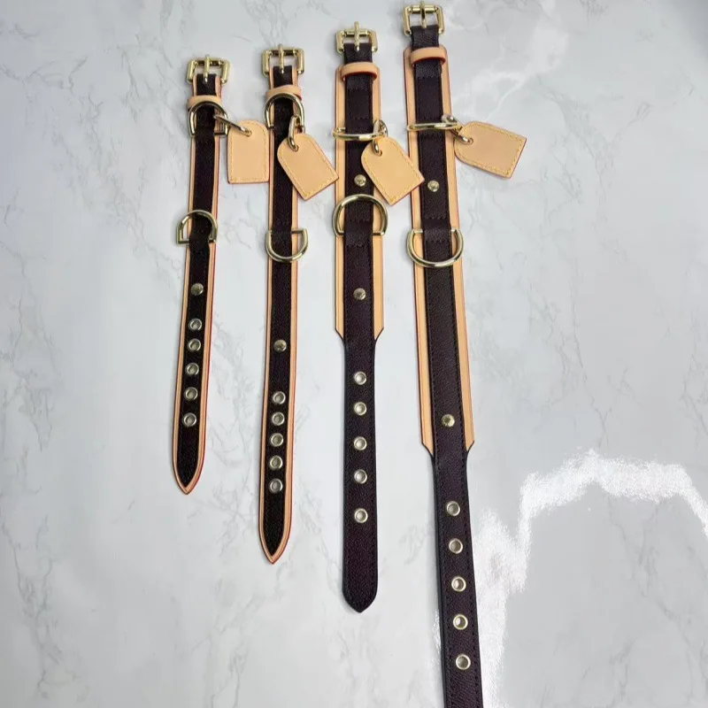 Thumbnail 2 - #63 Latest Retractable Puppy Leads Offers