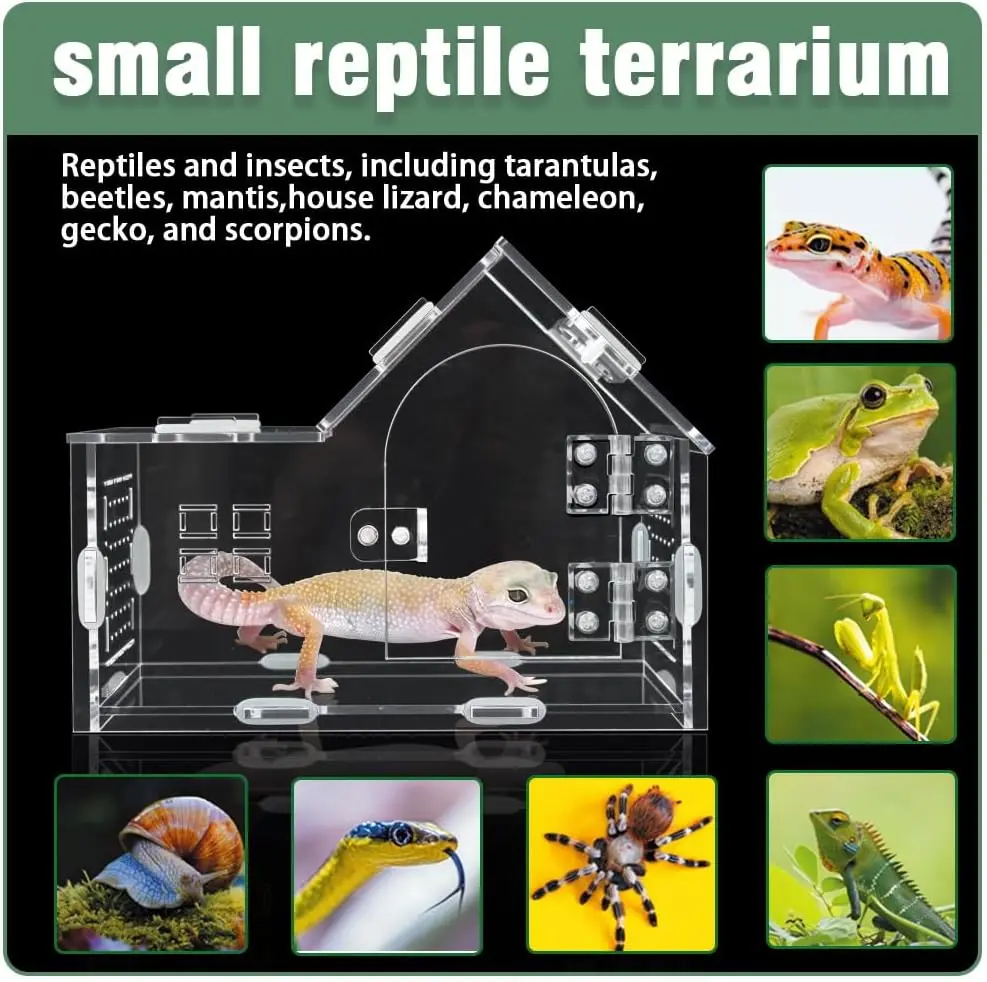 terrarium-en-acrylique-transparent-pour-araignees-sauteuses-boite-de-reproduction-a-toit-incline-pour-mantes-et-petits-reptiles-arboricoles