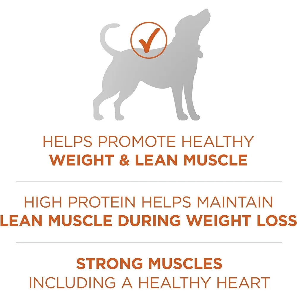 Plus berat badan sehat Formula kering makanan anjing Protein tinggi-40 lb. Tas