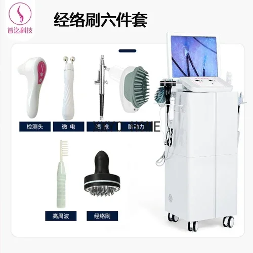 

Scalp Detection Hair Follicle Tester All-in-One Machine HD Care Instrument Monitor Anti-Hair Loss Hair