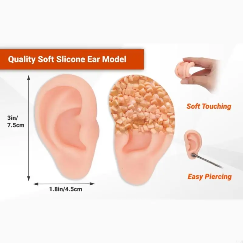 解剖学研究美容実践および現実的なビジュアルアートプロジェクトのためのシリコーン耳補綴物A2UB
