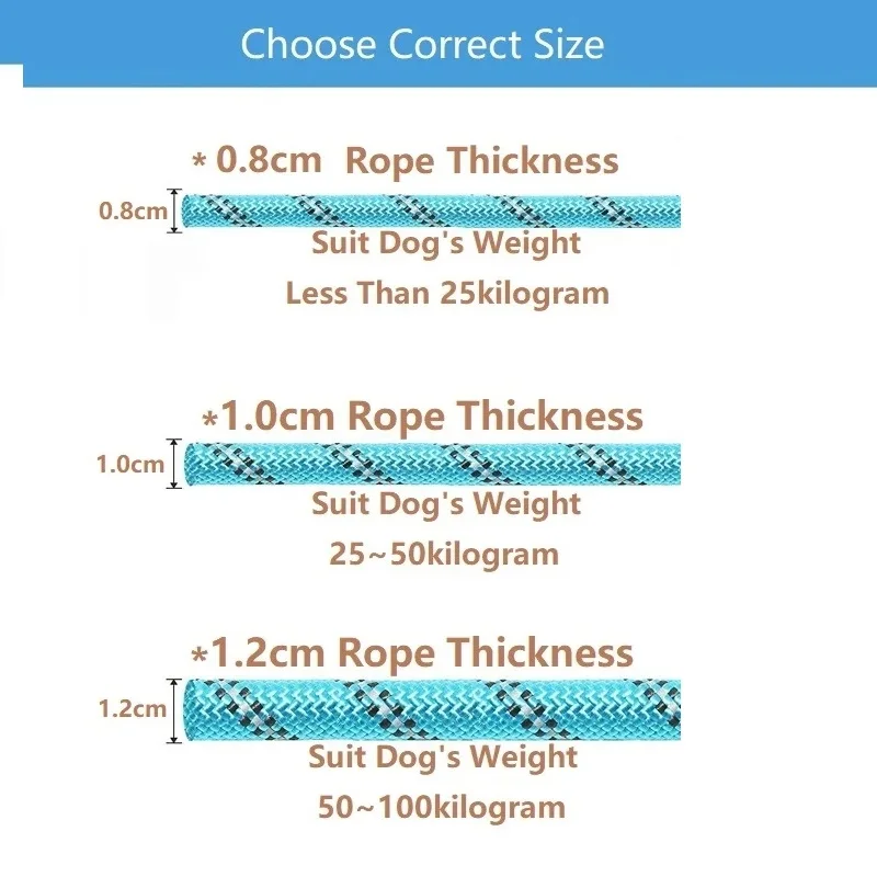Strong Reflective Dog Leash 6