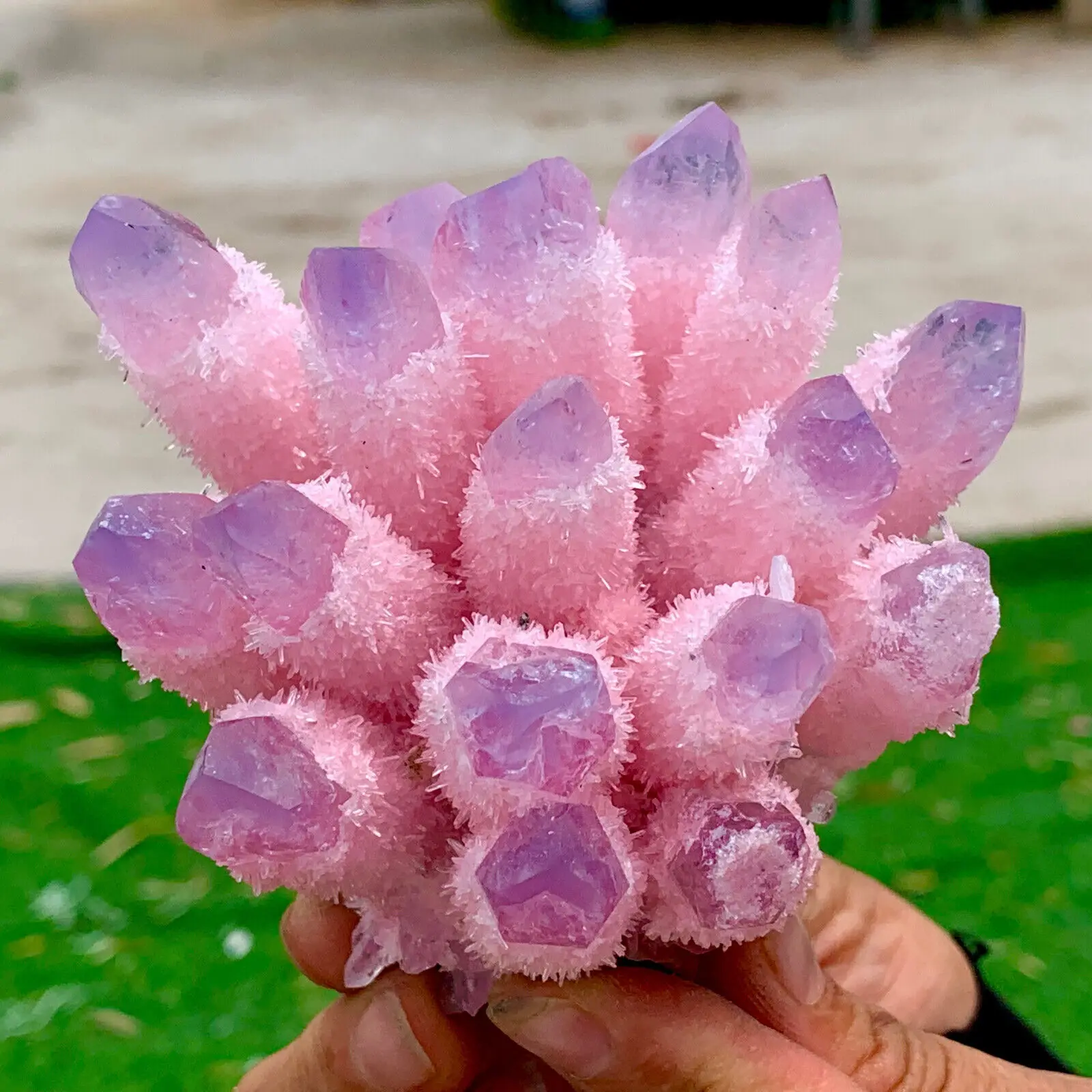 

Newly Discovered Pink Blue Phantom Quartz Crystal Cluster Mineral Samples