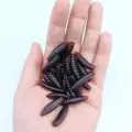 20PCS LD01  hei