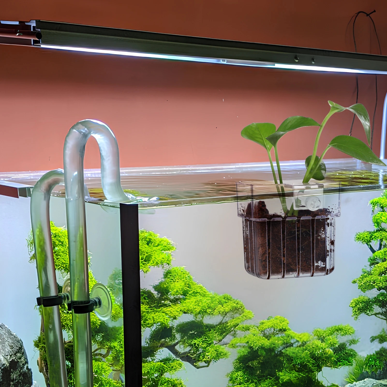 

4pcs Transparent Hydroponic Plant Growing Cups Aquarium Plant Pots Fish Tank Planter Holder Easy Installation Root Growth