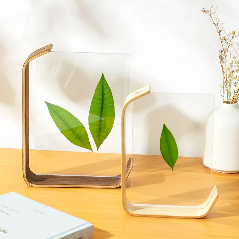 Double-sided Acrylic Photo Frame, Picture Frame, Table, Solid Wood Tabletop, Decorative Item, Plant Specimen Photo Frame