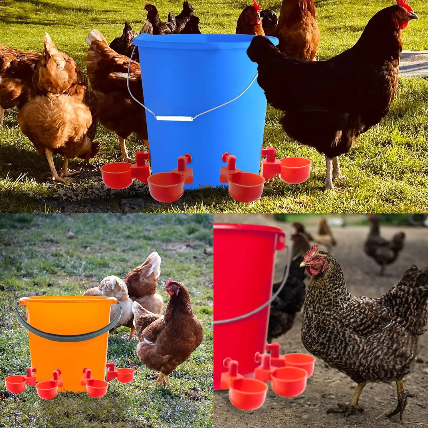 Chicken Duck Drinking Bowl Poultry Automatic Waterer Easy To Install Plastic Poultry Breeding Drinking Cup Goose Quail Waterer