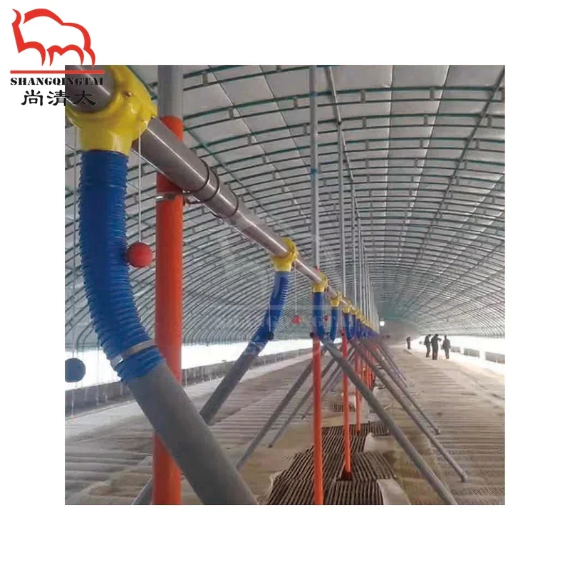 Système d'alimentation et d'eau potable automatique pour canards, volaille, élevage de poulets, équipement complet