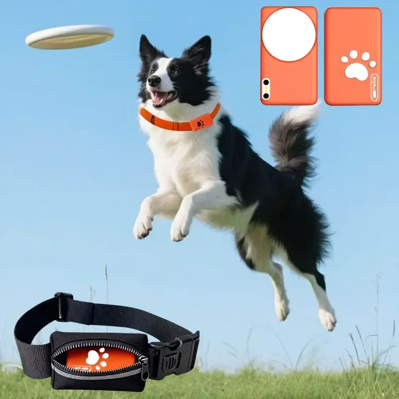 Smart Pet Health Monitoring Collar Real Time Vital Signs Tracker for Dogs Cats Wearable Device Activity Sleep Heart Rate