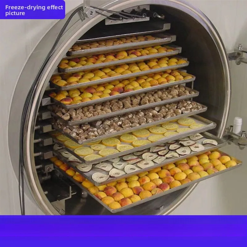 آلة المأكولات البحرية شرائط الأعشاب البحرية الروبيان المجفف درجة حرارة منخفضة تجميد تجفيف معدات تجفيف الطعام الفورية #1