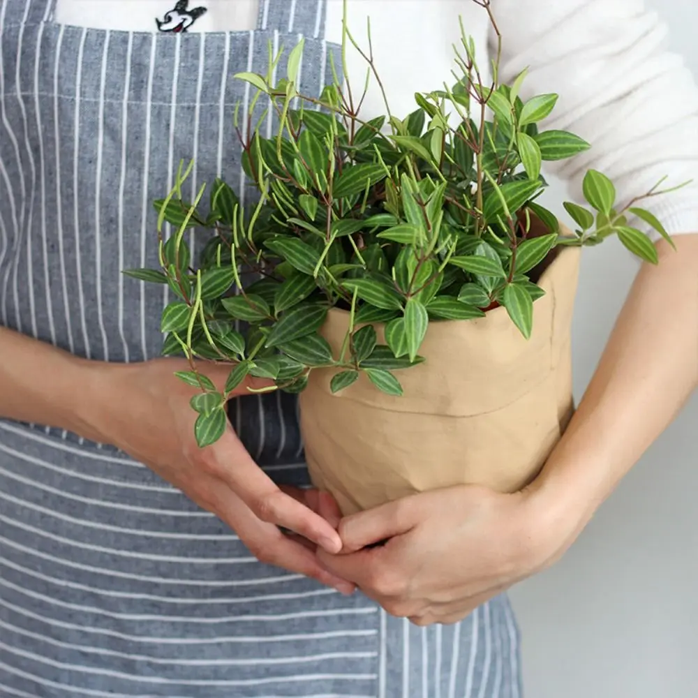 

Имитация бумажного пакета-кашпо: Цементная ваза ручной работы, декоративный элемент, имитация гидропонного цветочного держателя для рабочего стола