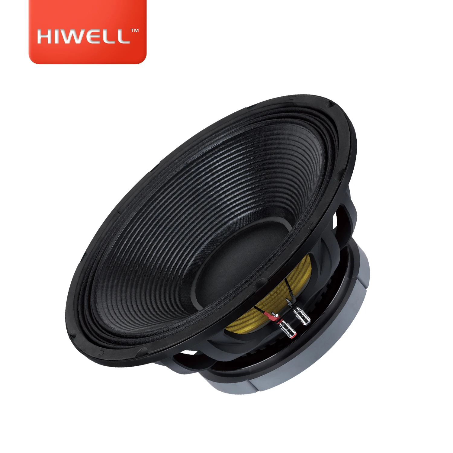 

Subwoofer Dual 18'' Speakers Pa Professional 1500 Watt Rms Powered Alto Falante.