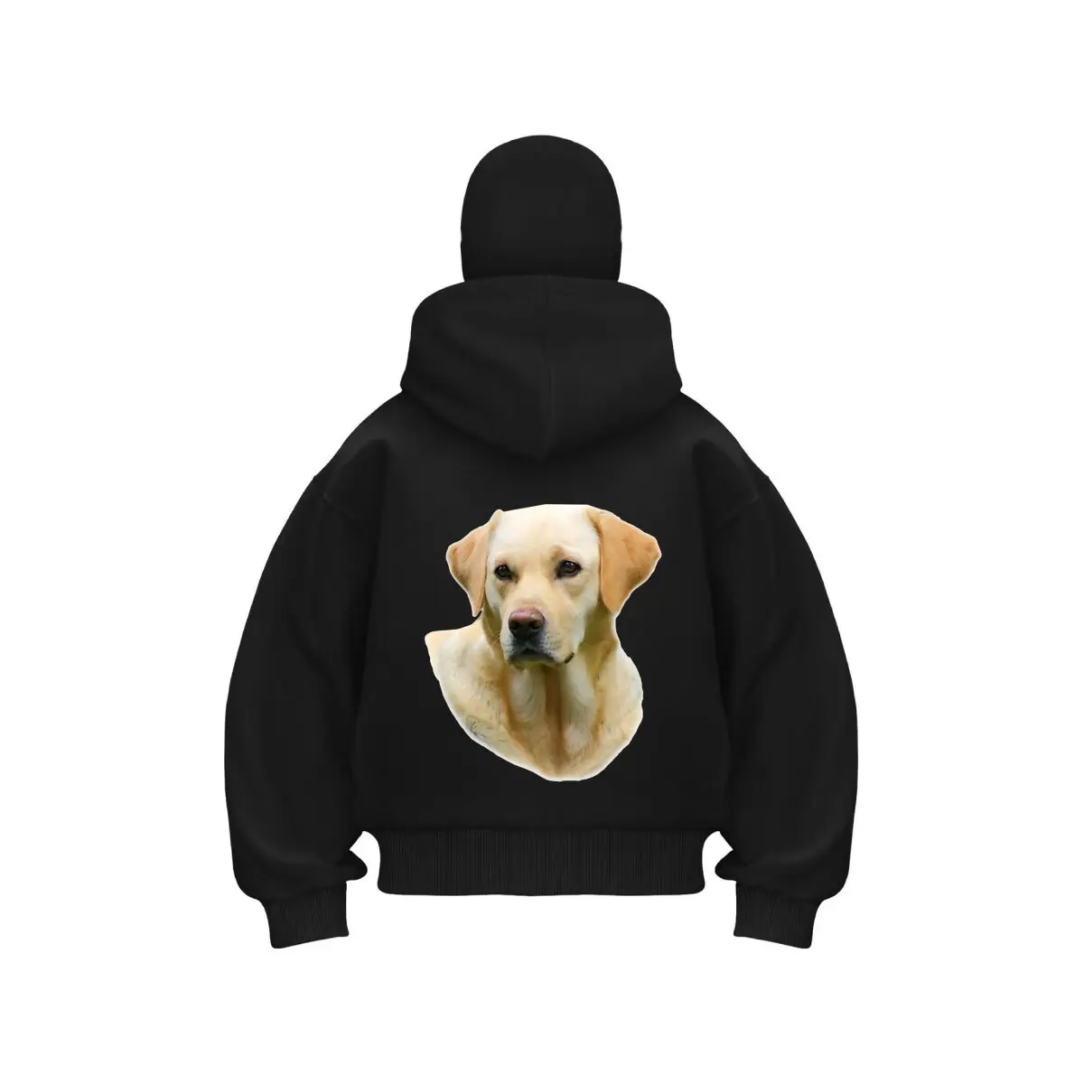 Labrador Pet - Inspired, 'Labrador' Cute Dog Portrait Design Unisex Double Hooded Fall Winter Men Clothing Masked Outfit