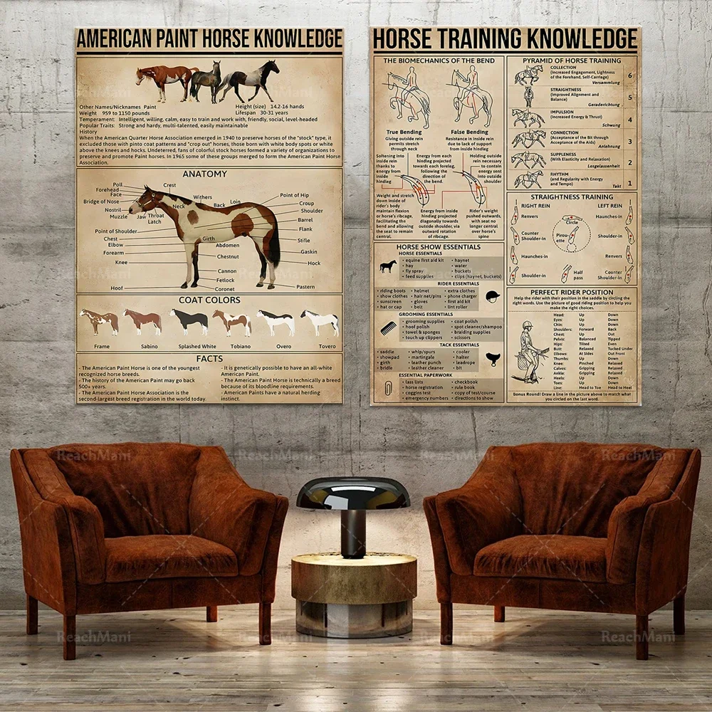 American Paint Horse Knowledge Poster, Horse Training Knowledge Poster, Cowboy Guide Anatomy, Farm Decor Home Decor