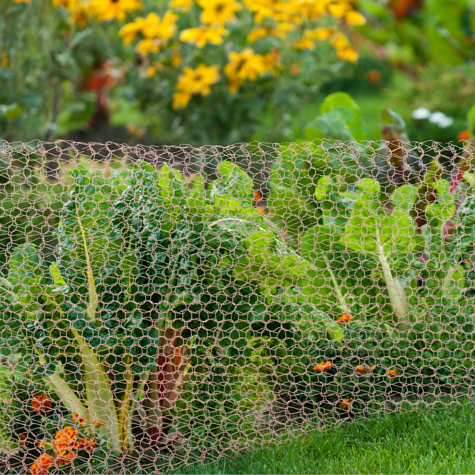 شبكة نحاسية 3 متر مرنة مقاومة للدموع مقاومة للصدأ الحياكة صافي مانع لحديقة القواقع الآفات القوارض الحشرات التحكم الحلزون