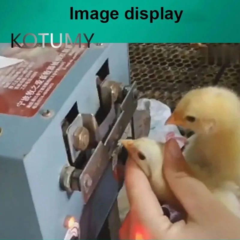 250w Poultry Beak Cutting Machine Electric Debeaker Mouth Cutter Removing Device Chicken Chick Farm Equipment Tool