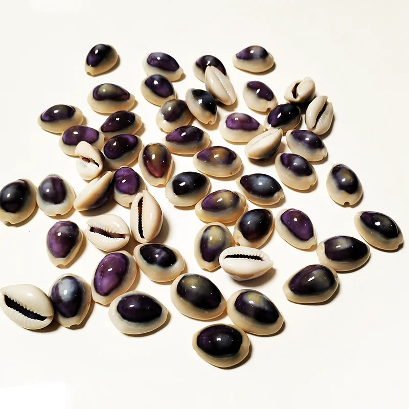 20 PC Blue-eyed Cowrie Sea Shells Real Purple Conch For Specimen Creative DIY Jewelry Nautical Fish Tank Aquarium Landscape