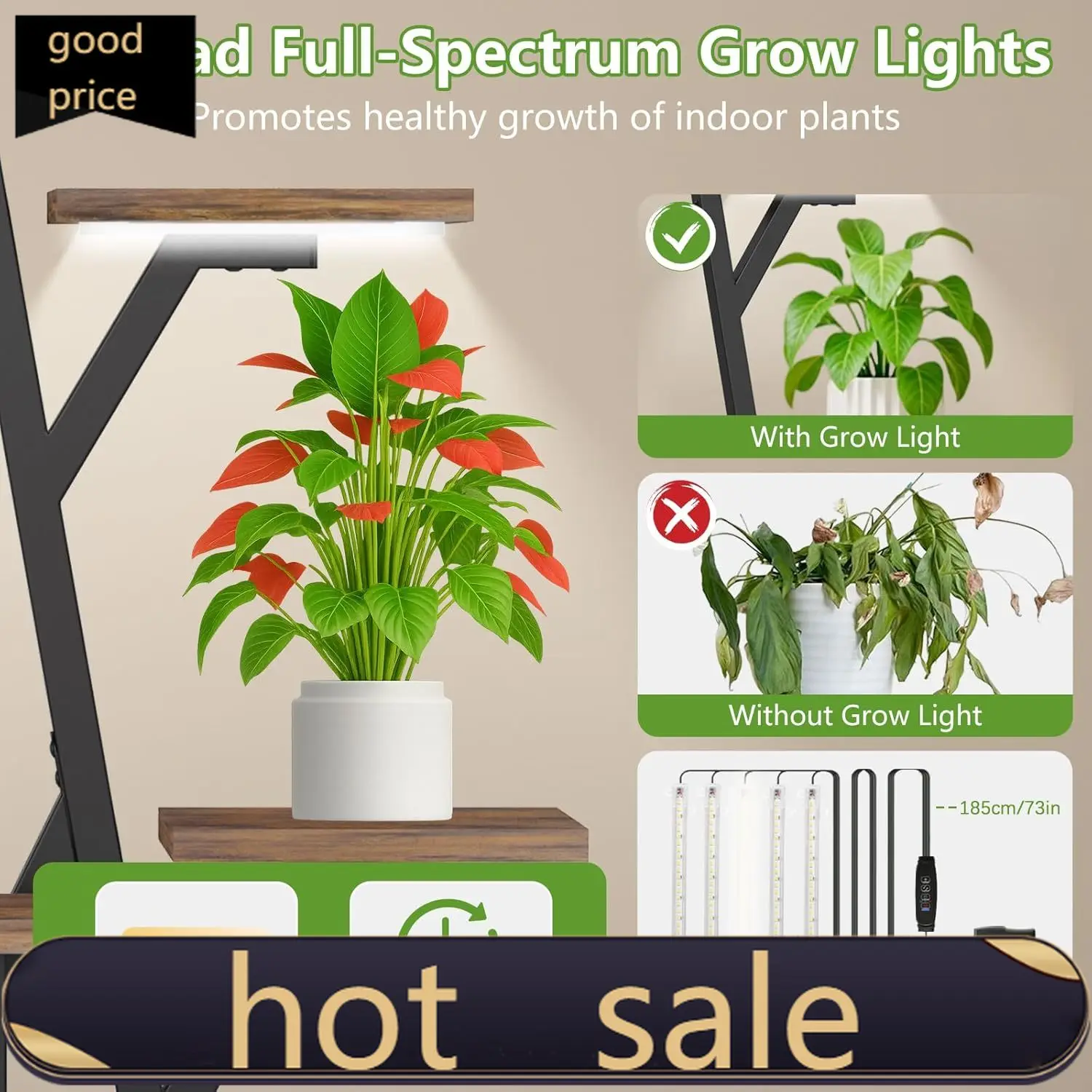 Activity Priceplant…