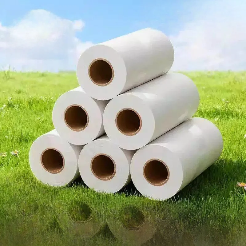 Thickened 100-Tear Sticky Hair Roll Paper Strong Dust Removal Sticky Paper Home Use Cleaner Replacement Paper Toilet Paper
